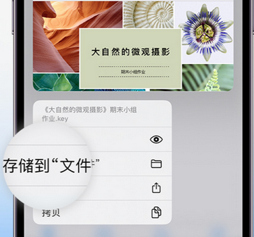 思礼镇apple维修中心分享iPhone文件应用中存储和找到下载文件