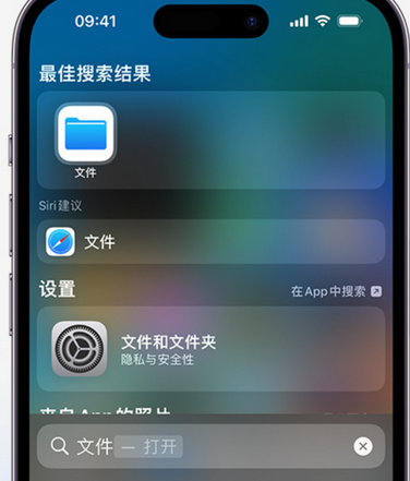 思礼镇apple维修中心分享iPhone文件应用中存储和找到下载文件