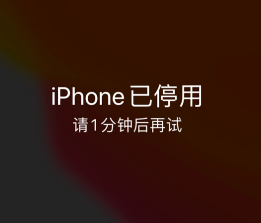 思礼镇苹果手机维修分享:iPhone 显示“不可用”或“已停用”怎么办？还能保留数据吗？ 