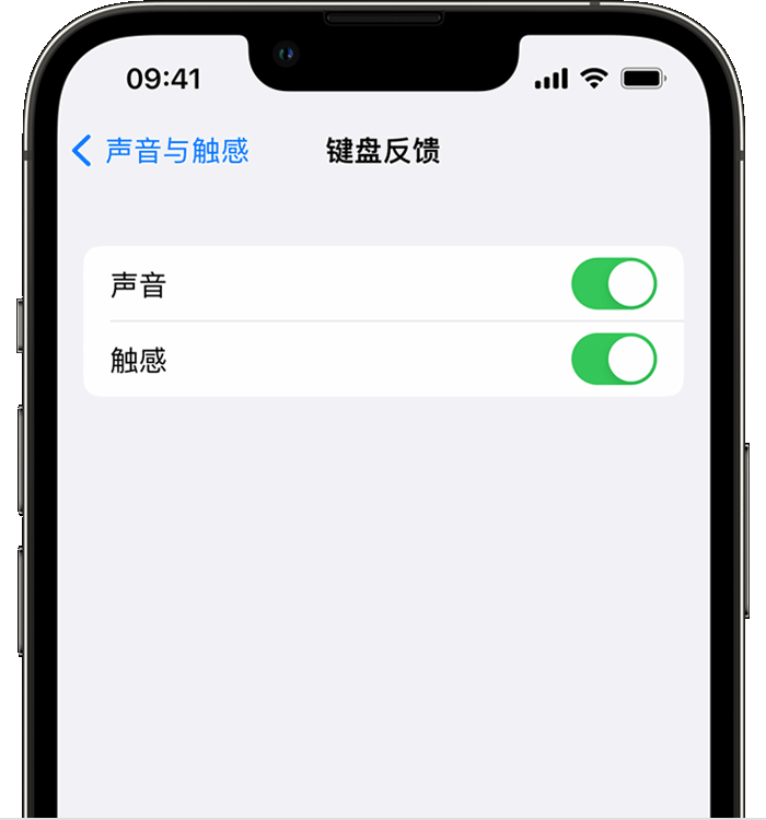 思礼镇苹果14维修店分享如何在 iPhone 14 机型中使用触感键盘 