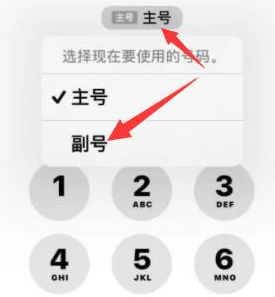 思礼镇苹果14维修店分享iPhone 14 Pro Max使用副卡打电话的方法 