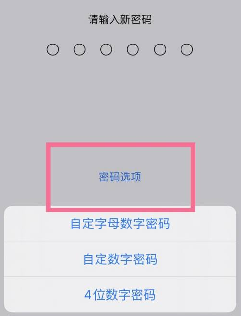 思礼镇苹果14维修分享iPhone 14plus设置密码的方法 