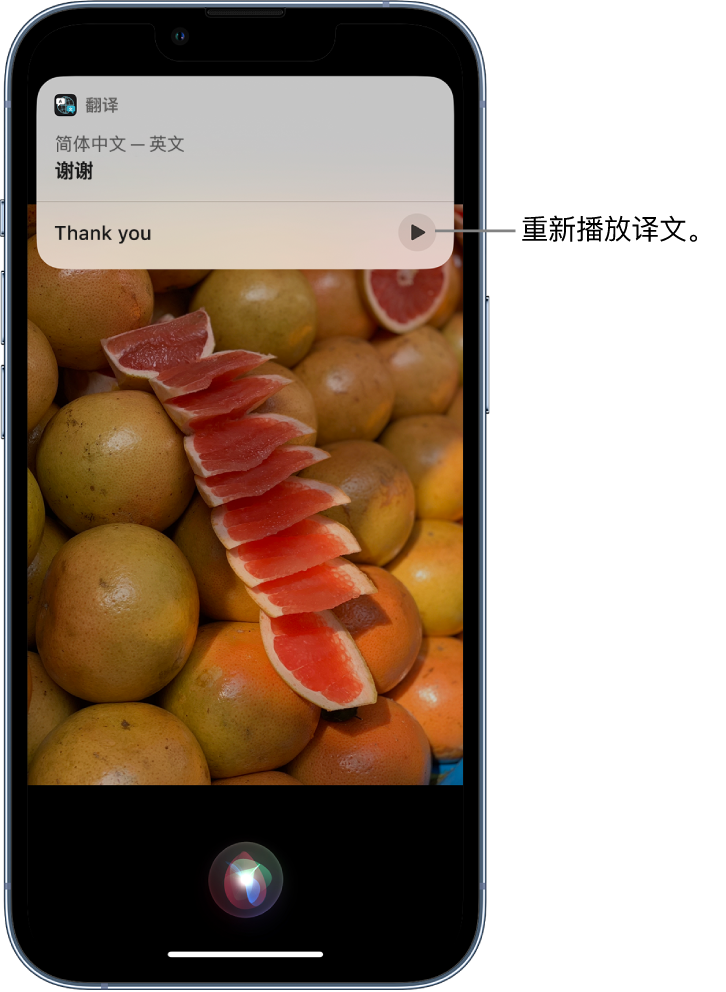 思礼镇苹果14维修分享 iPhone 14 机型中使用 Siri：了解 Siri 能帮你做什么 