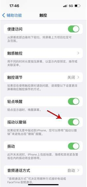 思礼镇苹果手机维修分享iPhone手机如何设置摇一摇删除文字 